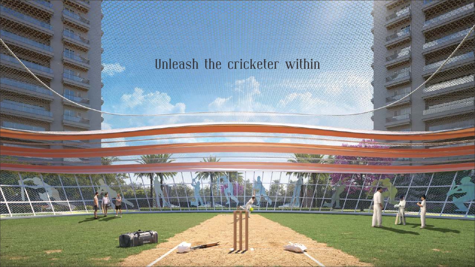 Gallery Image 6